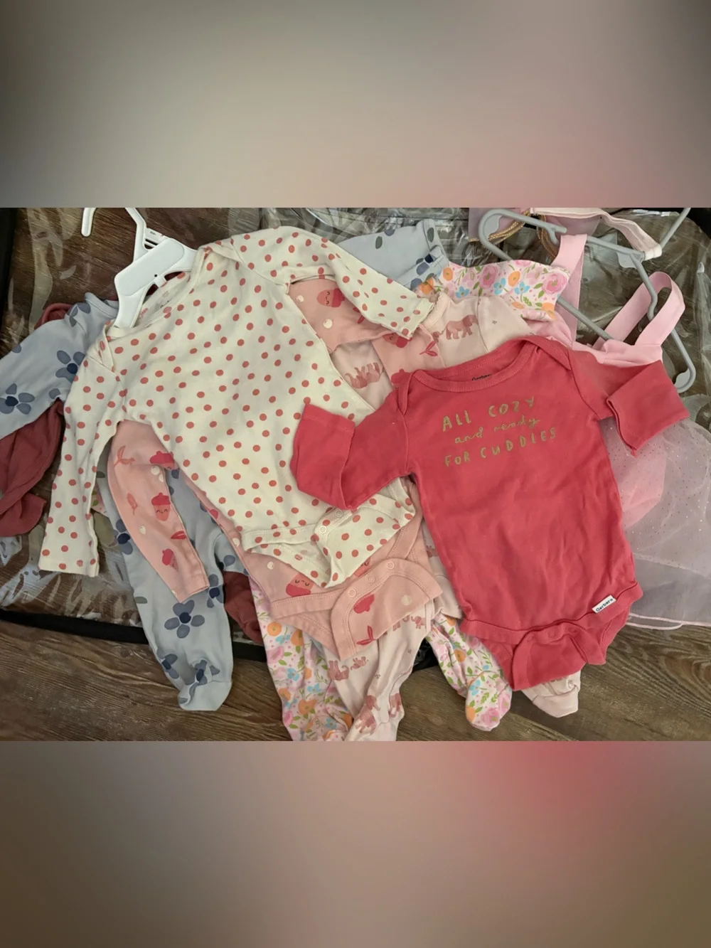 Carters clear foldable